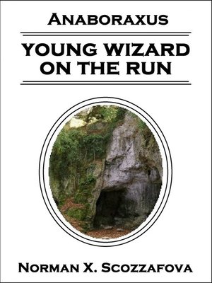 cover image of Young Wizard on the Run